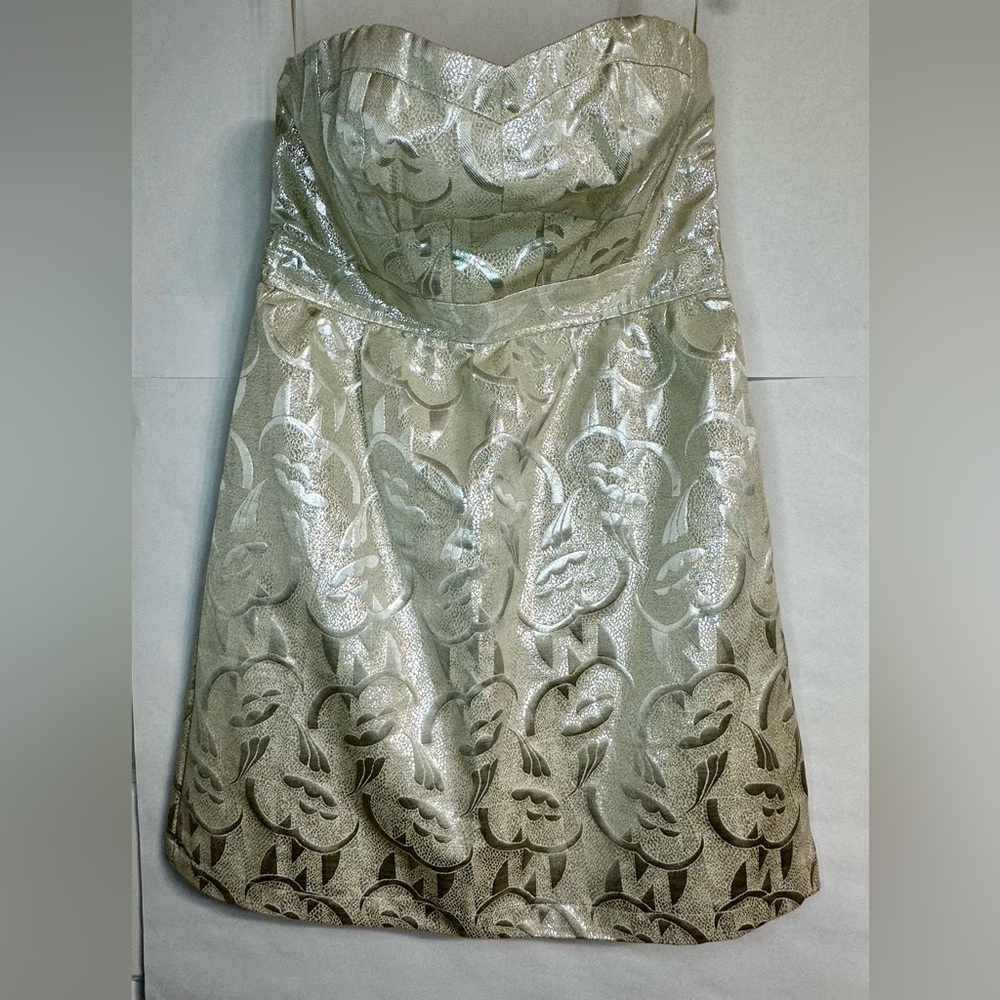 American Eagle Champagne Gold Metallic strapless dress.